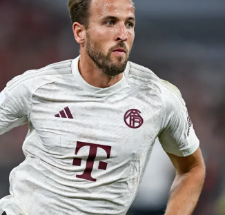 涉及到浙江 涉及到浙江