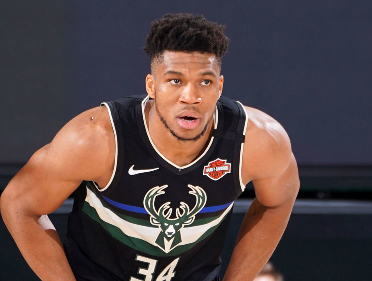 不败之地的 不败之地的